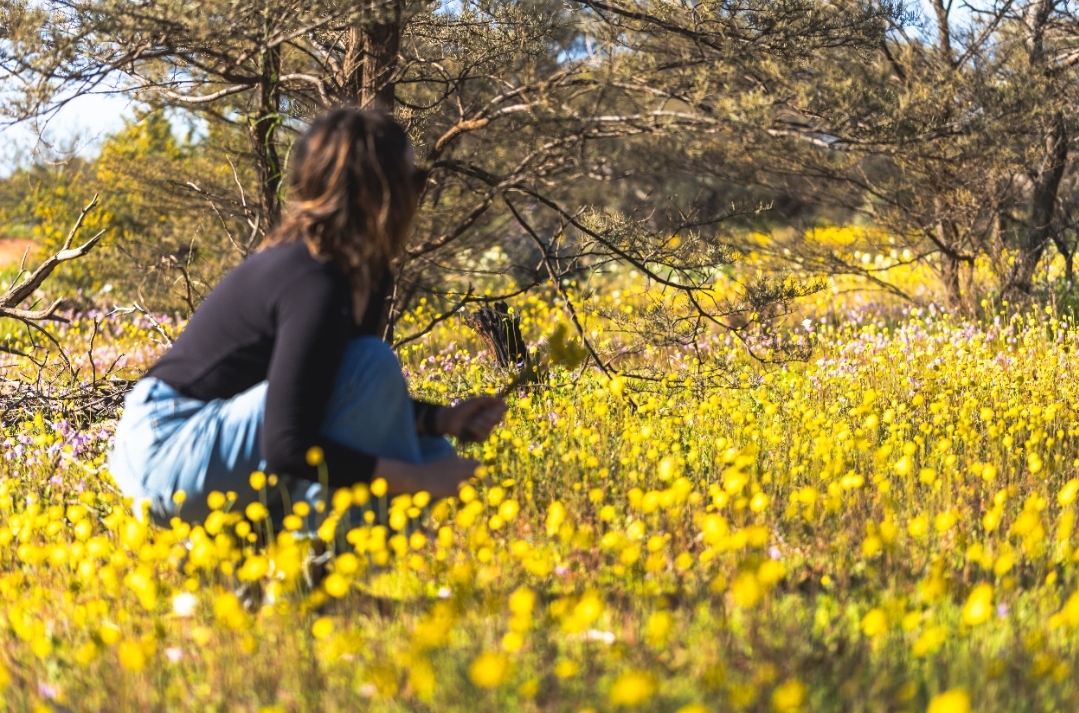 Jelajahi Festival Bunga Liar dan Destinasi Terbaik di Australia Bara_trends.co.id