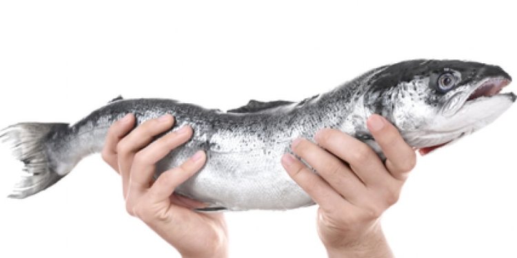 Tren Perawatan DNA Salmon dalam Dunia Kecantikan_trends.co.id