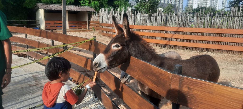 5 Ekosistem Unik di Aviary Park Indonesia: Jelajah Dunia dalam Satu Tempat_Trends.co.id