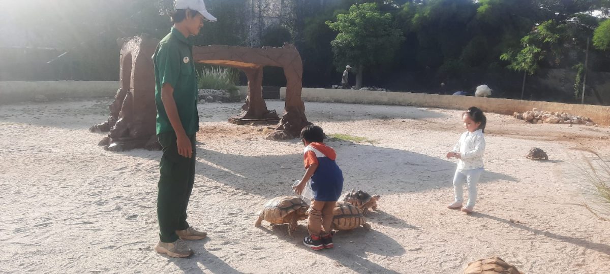 5 Ekosistem Unik di Aviary Park Indonesia: Jelajah Dunia dalam Satu Tempat_Trends.co.id