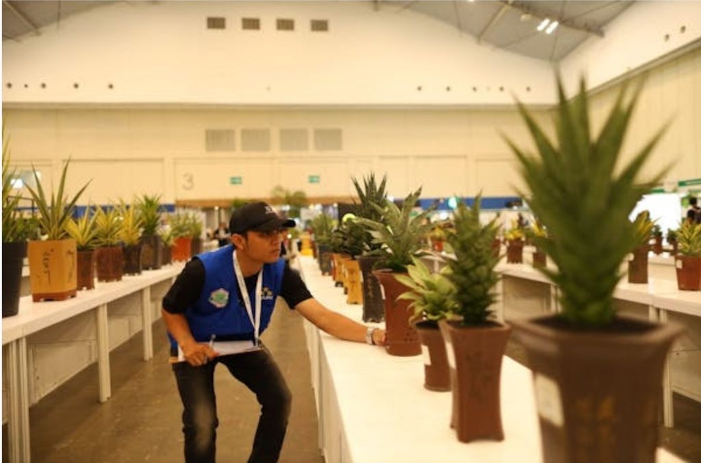 Belajar Usaha Budidaya Tanaman Hias Tanduk Rusa di FLOII Expo 2024_trends.co.id