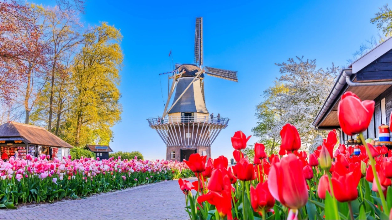 4 Destinasi Wisata yang Bakal Ramai Dikunjungi di 2024_trends.co.id 