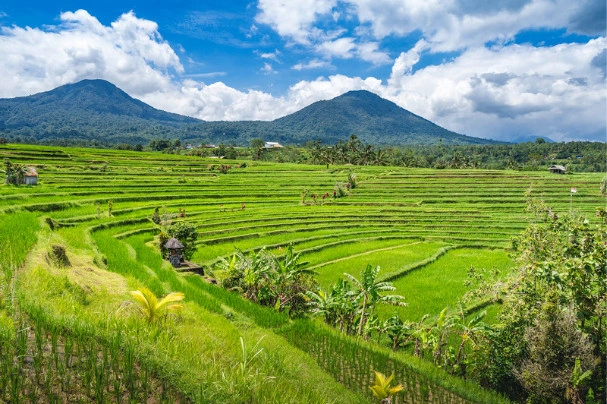 Panduan Wisata Alam dan Kuliner Unik di Indonesia 2025: Temukan Destinasi Terbaik di Desapenari.id